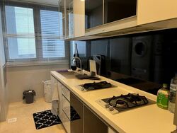 Angullia Park Residences @ Orchard (D10), Apartment #455104941